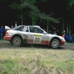 bird-pirelli-2-IH