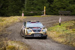 Bird_MWRally1
