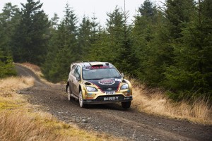 Bird_MWRally2